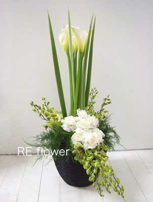 ベンチ (ホワイト)