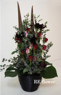 スタイリッシュ (ローズ)