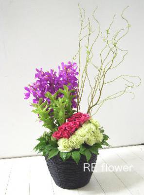 アレンジメント(フクシア)