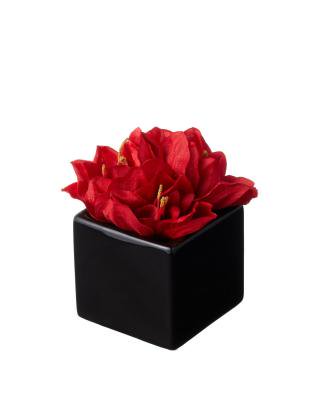 アマリリスアートフラワーギフト(レッド)